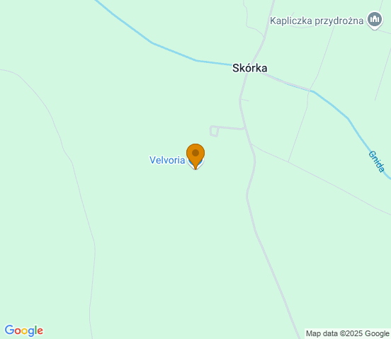 Mapa dojazdu do hurtowni motoryzacyjnej w miejscowości Rawicz