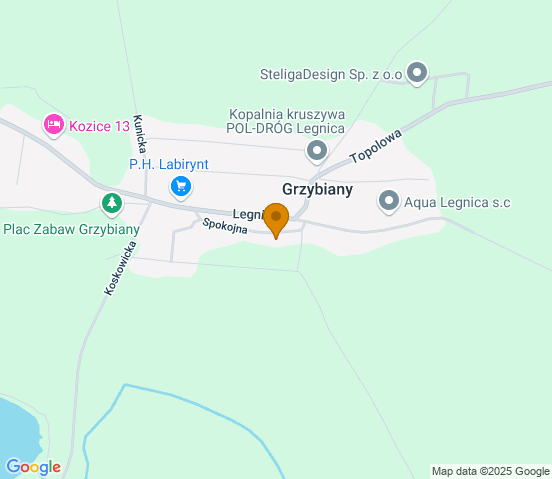 Mapa dojazdu do warsztatu samochodowego w miejscowości Grzybiany