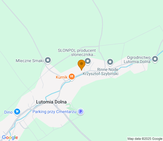 Mapa dojazdu do warsztatu samochodowego w miejscowości Świdnica