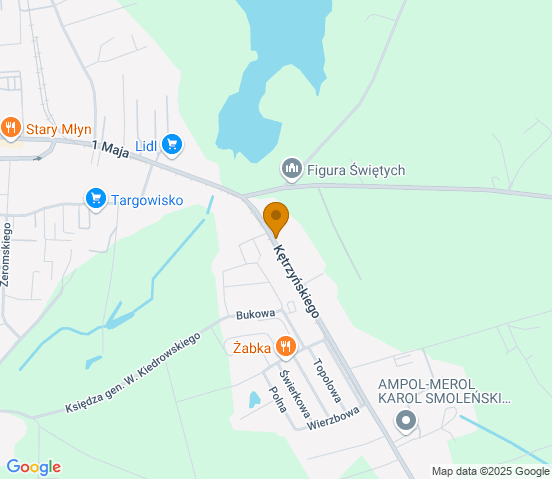 Mapa dojazdu do warsztatu samochodowego w miejscowości Wąbrzeźno