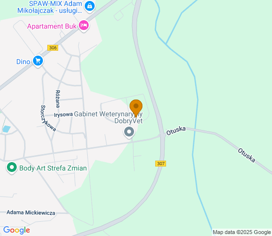 Mapa dojazdu do warsztatu samochodowego w miejscowości Buk